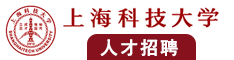 大肉棒干屄视频